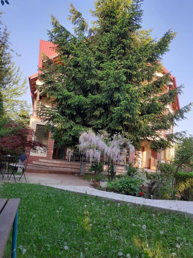 Casa Stefandra Breaza (Prahova) Exterior foto
